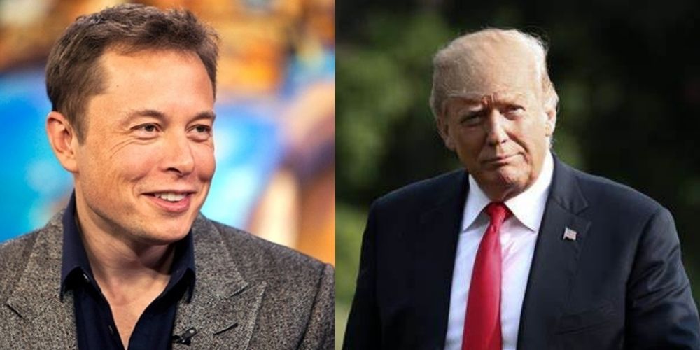 Donald Trump Elon Musk